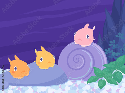フウセンウオの背景イラスト