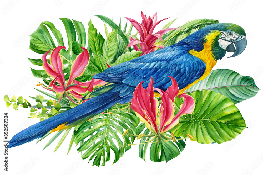 Obraz premium composition with beautiful blue parrots and tropical plants, green leaves, jungle design on an isolated white background, watercolor hand drawing
