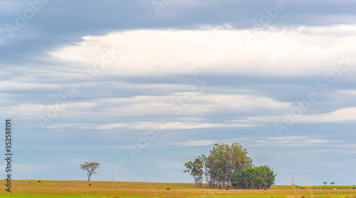 Rural landscape on cloudy and rainy day in southern Brazil