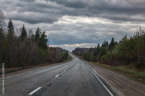 Paved road through the forest © burmistrova_ob