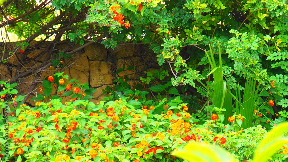 Obraz premium OLYMPUS DIGITAL CAMERA