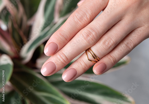 Womans hand with nude beige pink nail design on houseplant background © Darya Lavinskaya