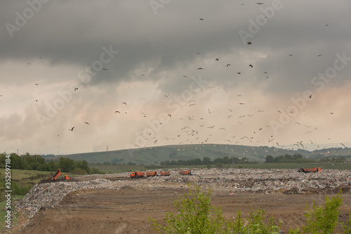 A bulldozer tractor pushes garbage from a mountain in a city dump on the background of a large number of gulls during the day in clear weather, heat, summer photo