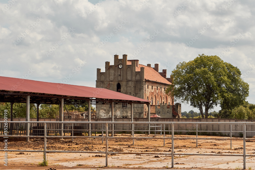Stables at the town hall Stables at the town hall