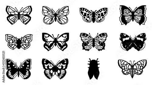 Butterflies carve set, Vector illustration.