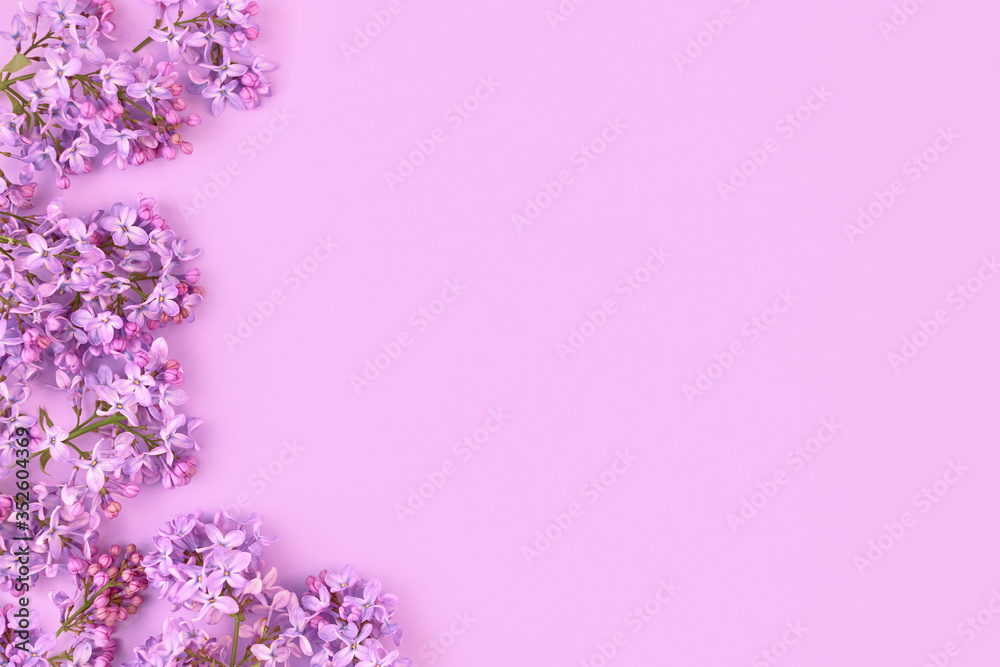 frame of branches and flowers of lilac on a pink background.blank for cards for spring, Easter, mother's day, women's day, Valentine's day. top view,