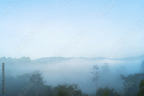 Relax bright morning and ease your eyes, Mist and clouds covered the morning mountains on the Narathiwat mountain, Thailand time lapse 4k.