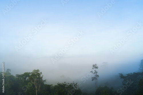 Relax bright morning and ease your eyes, Mist and clouds covered the morning mountains on the Narathiwat mountain, Thailand time lapse 4k. © Stock.Foto.Touch