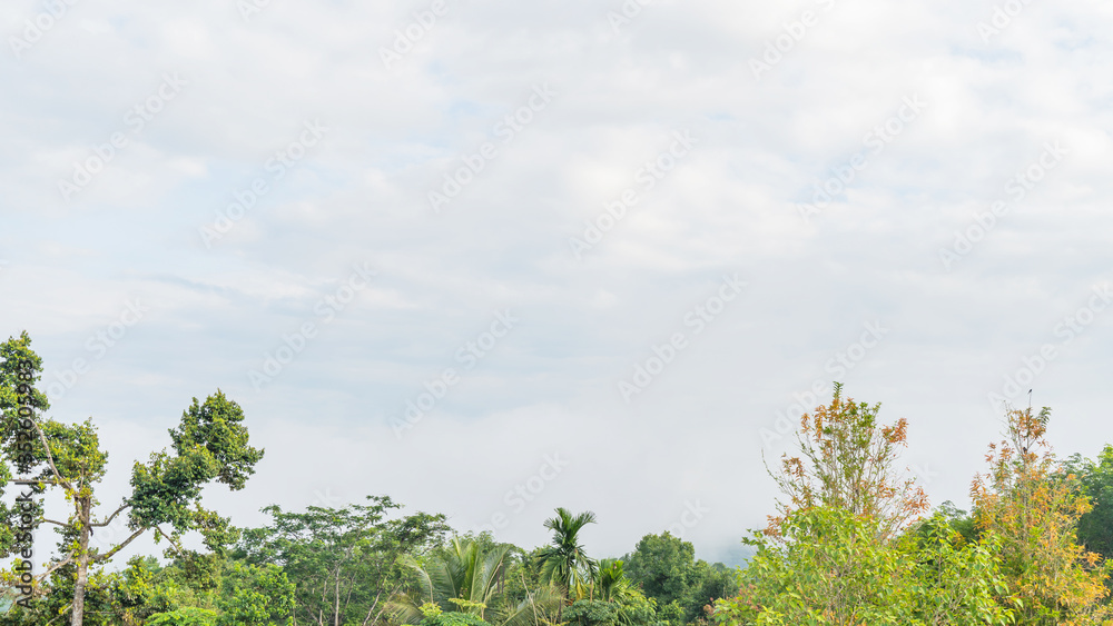 Obraz premium Mountain range with visible silhouettes through the morning colorful fog, Bright and enjoy your eye with the sky refreshing in Phuket Thailand.
