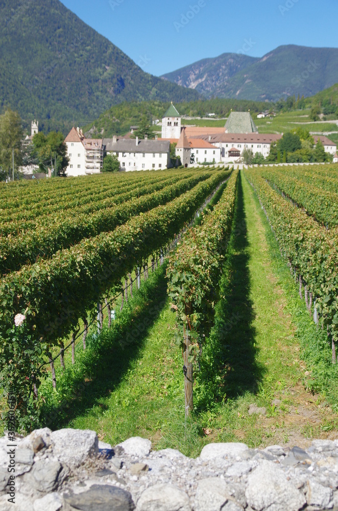 splendid vineyards of the abbey of novacella with ancient alpine monastery, producer of delicious wines