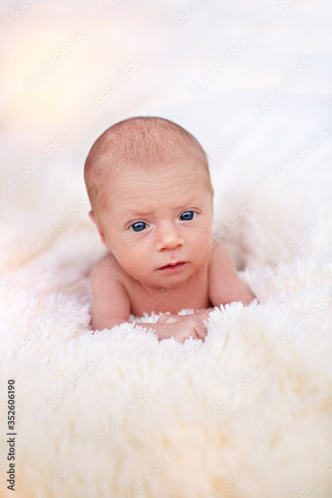 Close up portrait of a newborn baby. Close-up face of newborn baby with open eyes. A newborn is looking into the lens close up. Newborn baby Close up portrait of a newborn baby. Close-up face of newborn baby with open eyes. A newborn is looking into the lens close up. Newborn baby