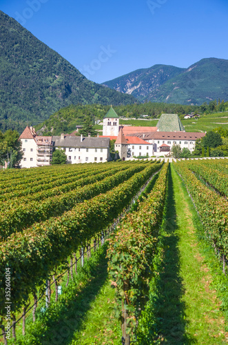 splendid vineyards of the abbey of novacella with ancient alpine monastery, producer of delicious wines
