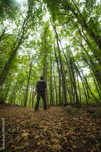 walking in the woods