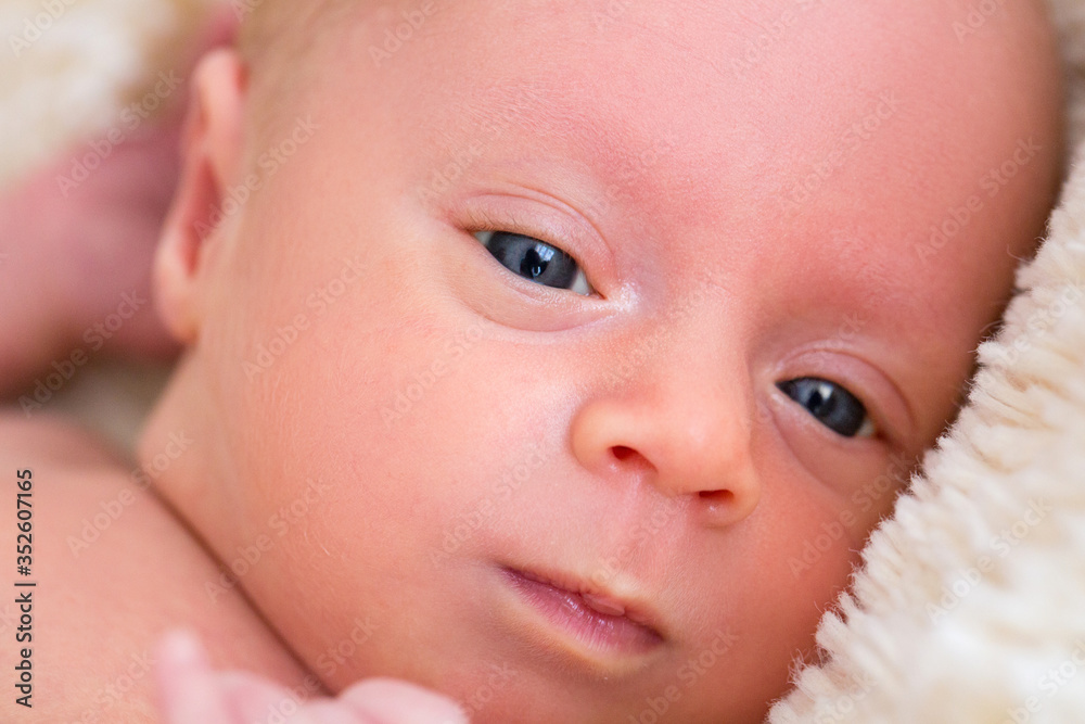 Close up portrait of a newborn baby. Close-up face of newborn baby with open eyes. A newborn is looking into the lens close up. Newborn baby Close up portrait of a newborn baby. Close-up face of newborn baby with open eyes. A newborn is looking into the lens close up. Newborn baby