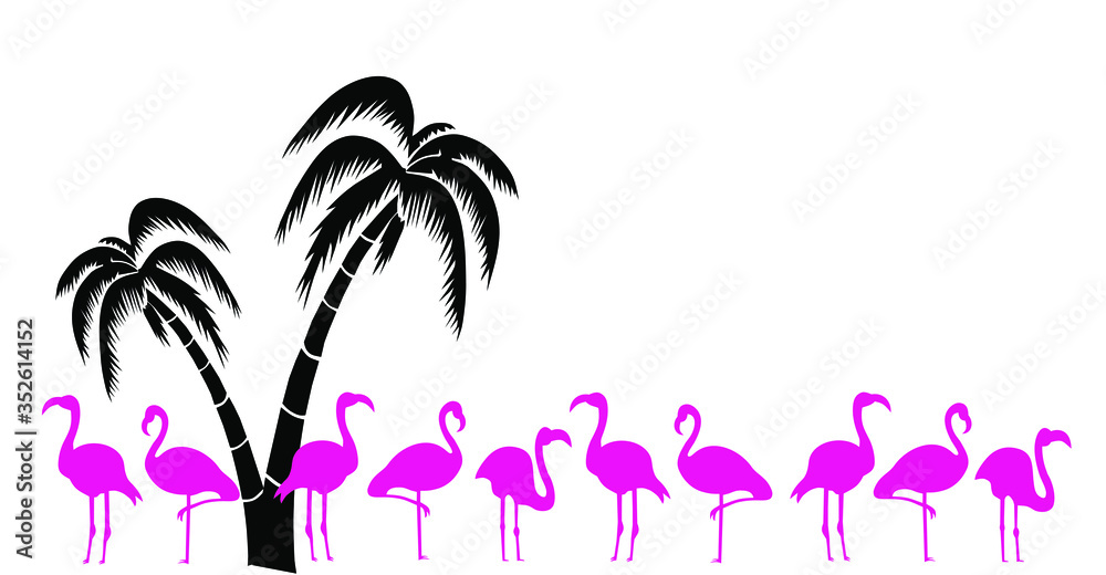 Vector illustration of Flamingo Birds under a palm tree