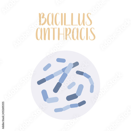 Bacillus Anthracis, pathogen. Rod-shaped, gram-positive bacteria. Morphology. Microbiology. Vector flat illustration