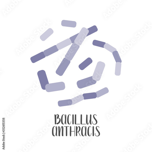 Bacillus Anthracis  pathogen. Rod-shaped  gram-positive bacteria. Morphology. Microbiology. Vector flat illustration