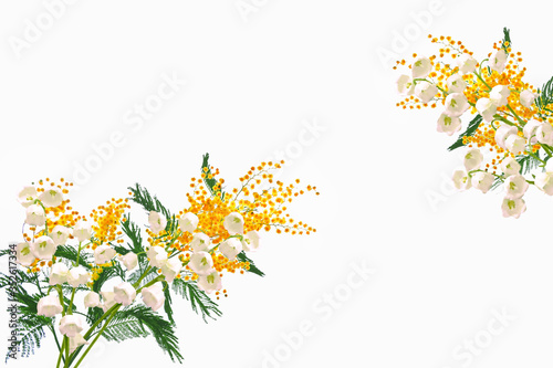 Bush of yellow mimosa. Lily of the valley flower on white background © alenalihacheva