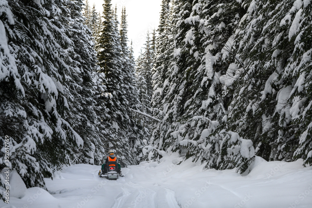 Tourist riding snowmobile in snow, Sun Peaks Resort, Sun Peaks, British Columbia, Canada