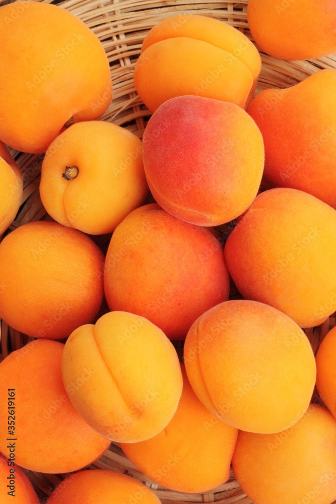 Delicious fresh apricots on the table macro