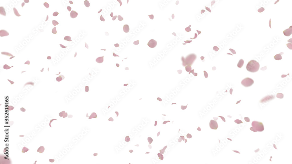 Rose Petals Flower fluttering 3D illustration background Rose Petals Flower fluttering 3D illustration background