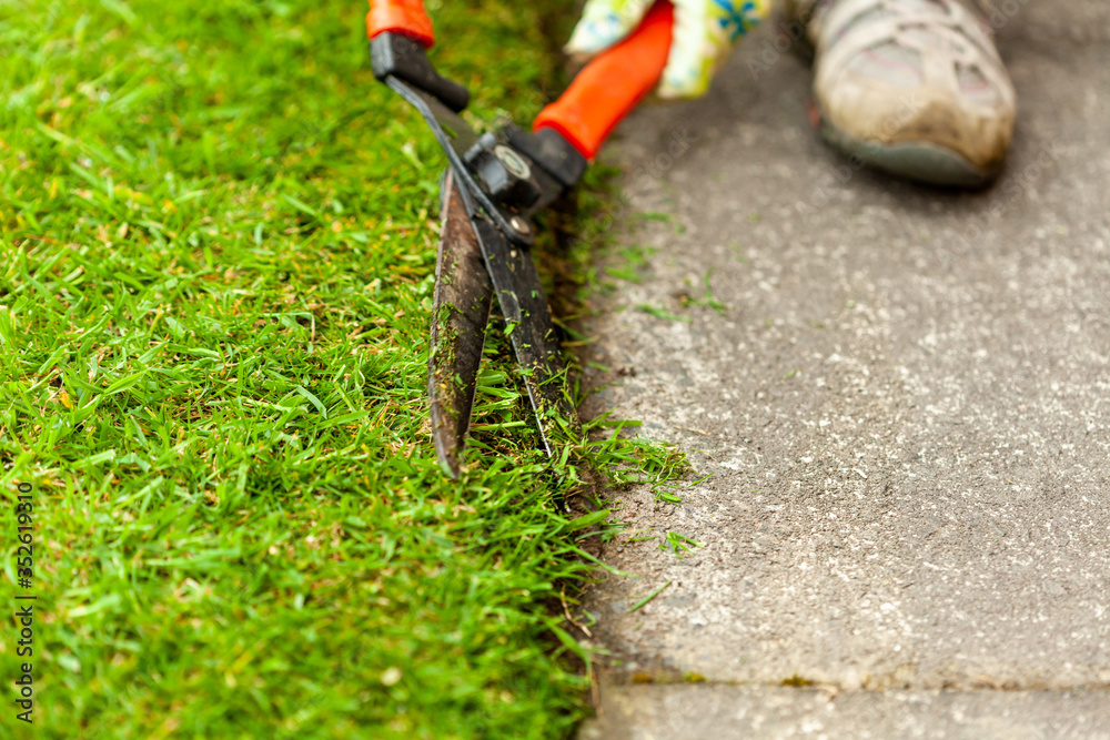 Tidying lawn edge with garden clippers. Selective focus Tidying lawn edge with garden clippers. Selective focus