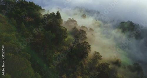Aerial View Mystic Fog In The Forest, Clouds And Mountain View