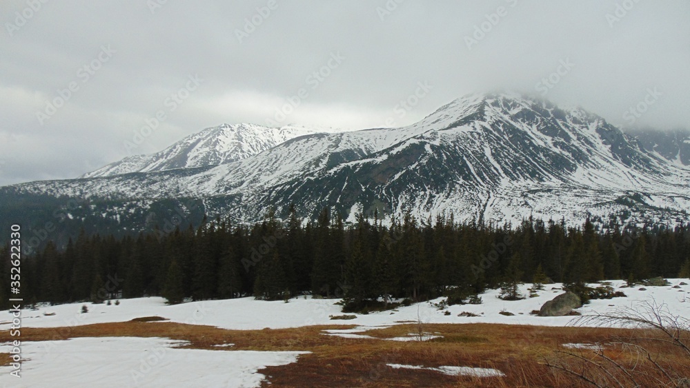 Fototapeta premium Droga na Kasprowy wierch szlakiem turystycznym w tatrach