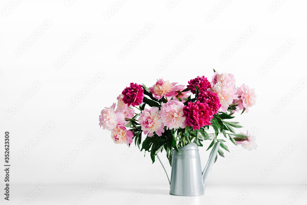 Fototapeta premium pink flowers. Curly peony ranunculus in Metallic gray watering can,empty space