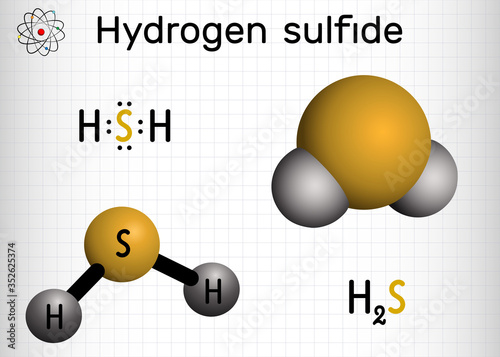 Hydrogen sulfide, hydrosulfuric acid, H2S molecule. It is highly toxic and flammable gas with foul odor of rotten eggs. Sheet of paper in a cage