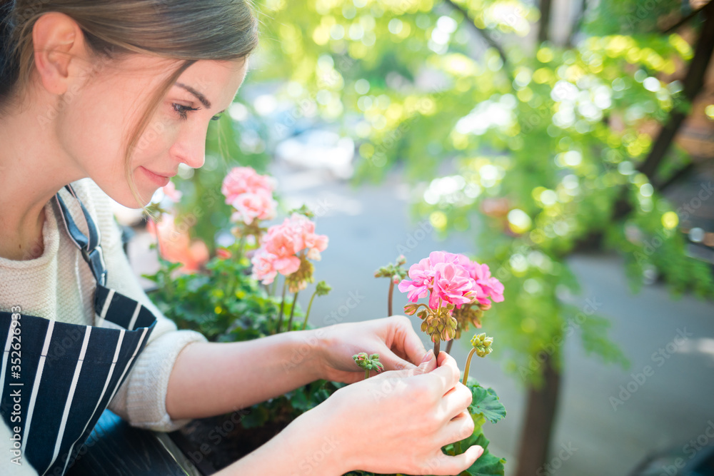 Woman looking at flowers on balcony checking for pests and diseases Woman looking at flowers on balcony checking for pests and diseases