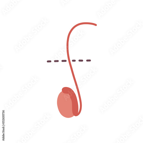 vasectomy doodle icon, vector illustration