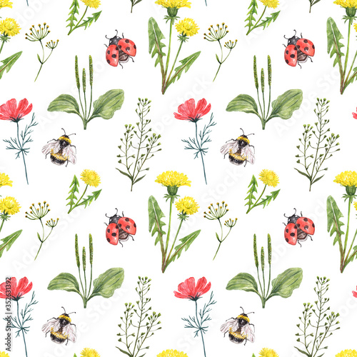 Summer wildflower seamless pattern. Watercolor dandelion flowers, red cosmos,...