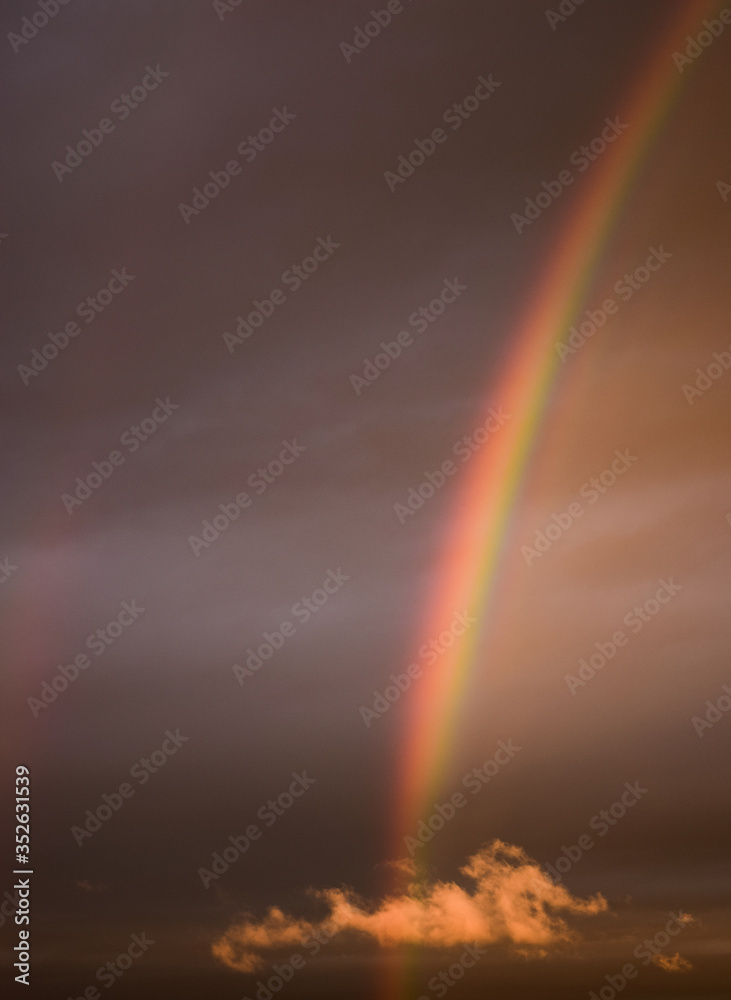 Fototapeta premium Rainbow