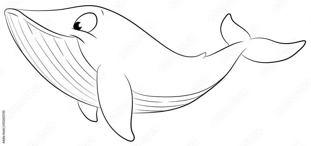 Niedlicher Blauwal - Vektor-Illustration Niedlicher Blauwal - Vektor-Illustration
