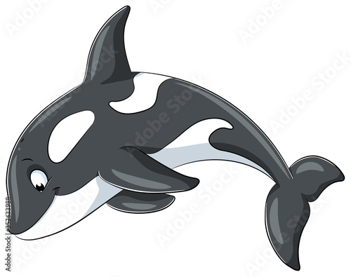 Niedlicher Orca - Vektor-Illustration