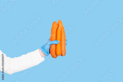 Female hand in disposable glove holds carrot isolated on blue background.