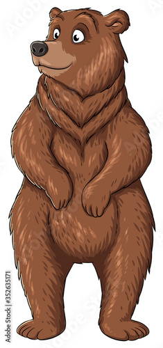 Stehender Bär - Vektor-Illustration