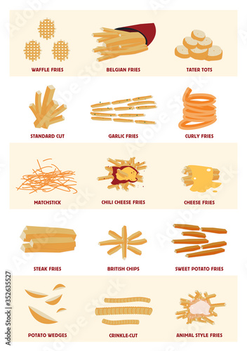 All kinds of fries, pommes frites large vector poster