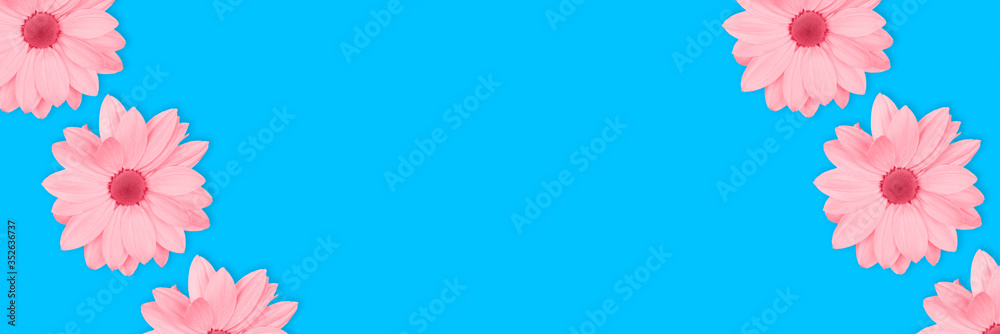 Pink flowers floral long banner or poster on blue background. Pink flowers floral long banner or poster on blue background.