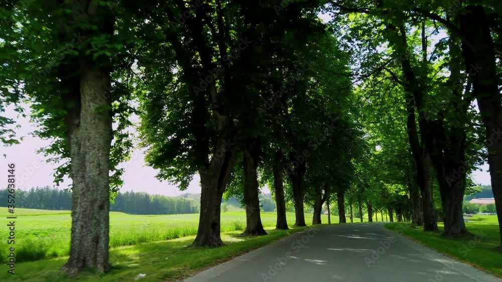 Driving down a countryside road Driving down a countryside road
