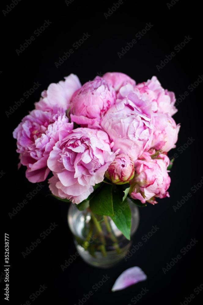 pink peonies in vase on black background pink peonies in vase on black background