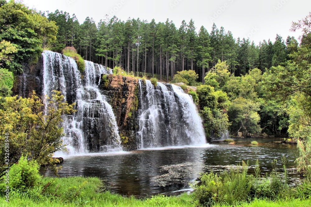 waterfall in the forest