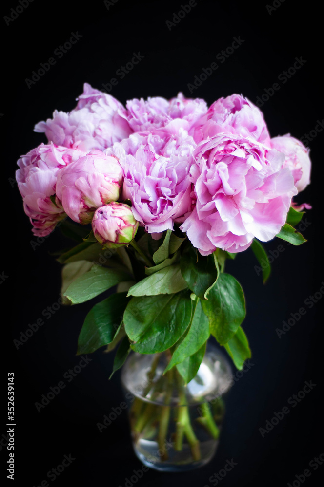 pink peony in a vase