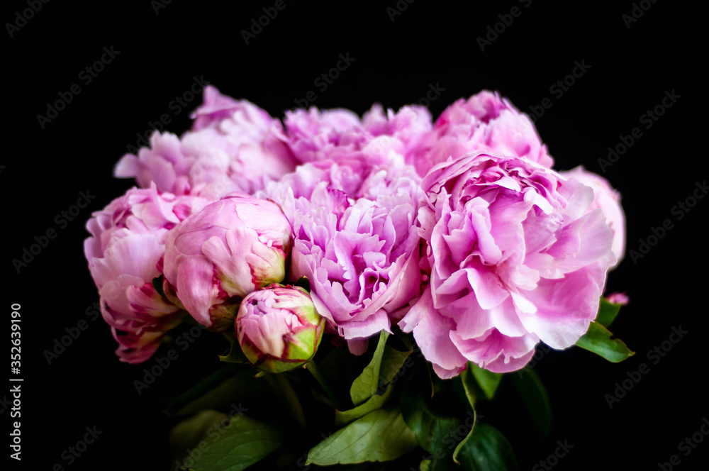 bouquet of pink peonies in vase