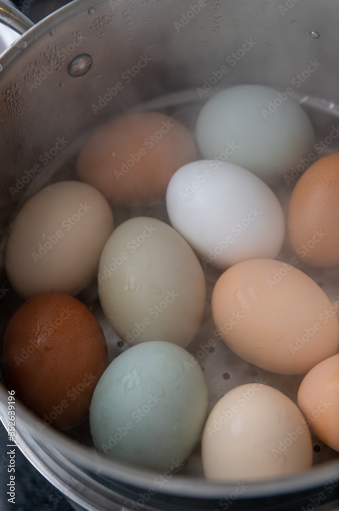 Pastured Eggs From Different Chickens Being Steamed Pastured Eggs From Different Chickens Being Steamed