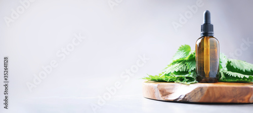 Nettle essence oil in dark bottle and fresh nettle leaves on grey background. Medicinal herb for health and beauty, skin care and hair treatment