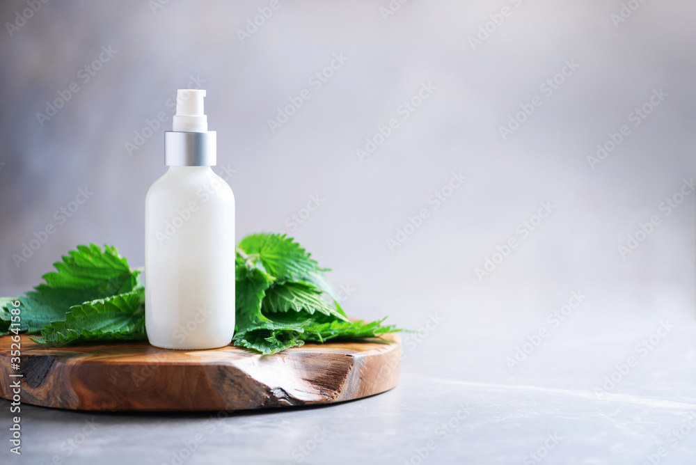 Nettle lotion, cream, shampoo or soap in white bottle and fresh nettles leaves on grey background. Medicinal herb for health and beauty, skin care and hair treatment.