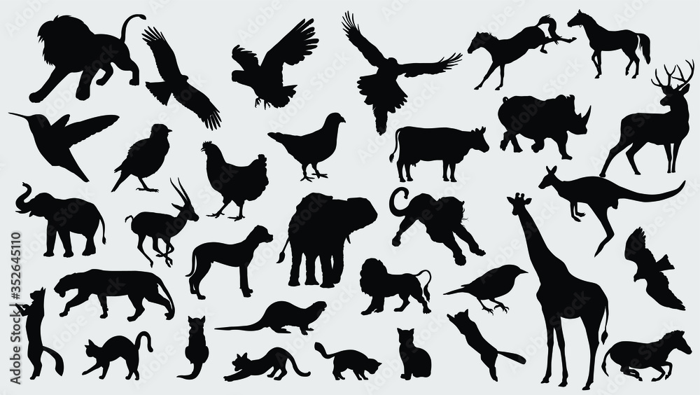 Collection of vector detailed silhouettes of animals Collection of vector detailed silhouettes of animals