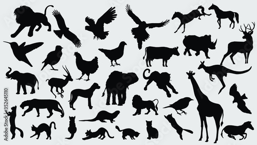 Collection of vector detailed silhouettes of animals © mustapha